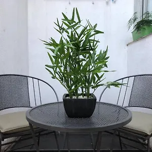  Apartamento Monoambiente Calido, Luminoso, Con Cochera!!!! Argentina